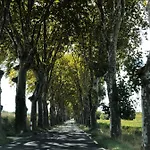 Retreat *